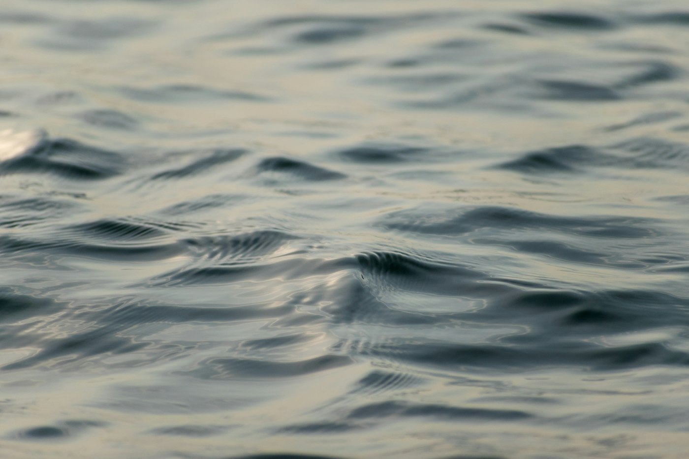 Gentle ripples across a calm water surface