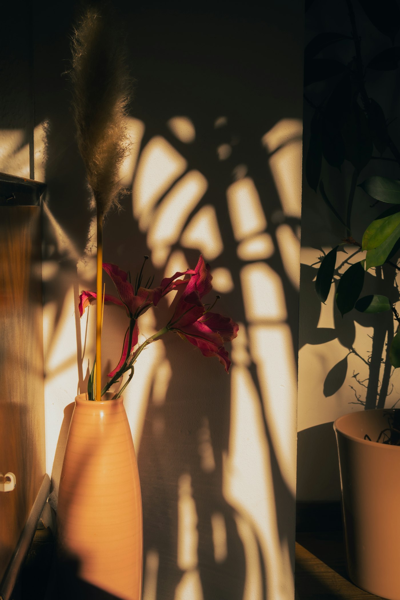 A vase of dried flowers catching warm evening light